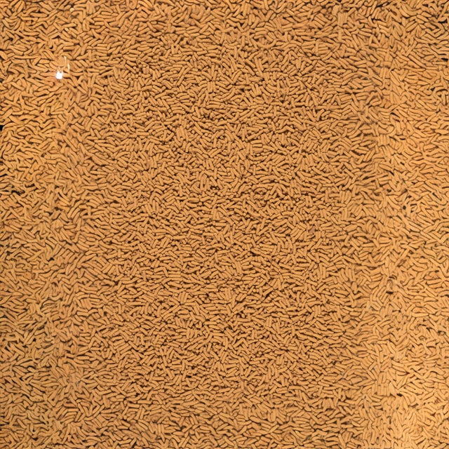 Tetra Pond Koi Sticks close-up, nutrient-rich fish food for Koi, promoting growth and vitality.