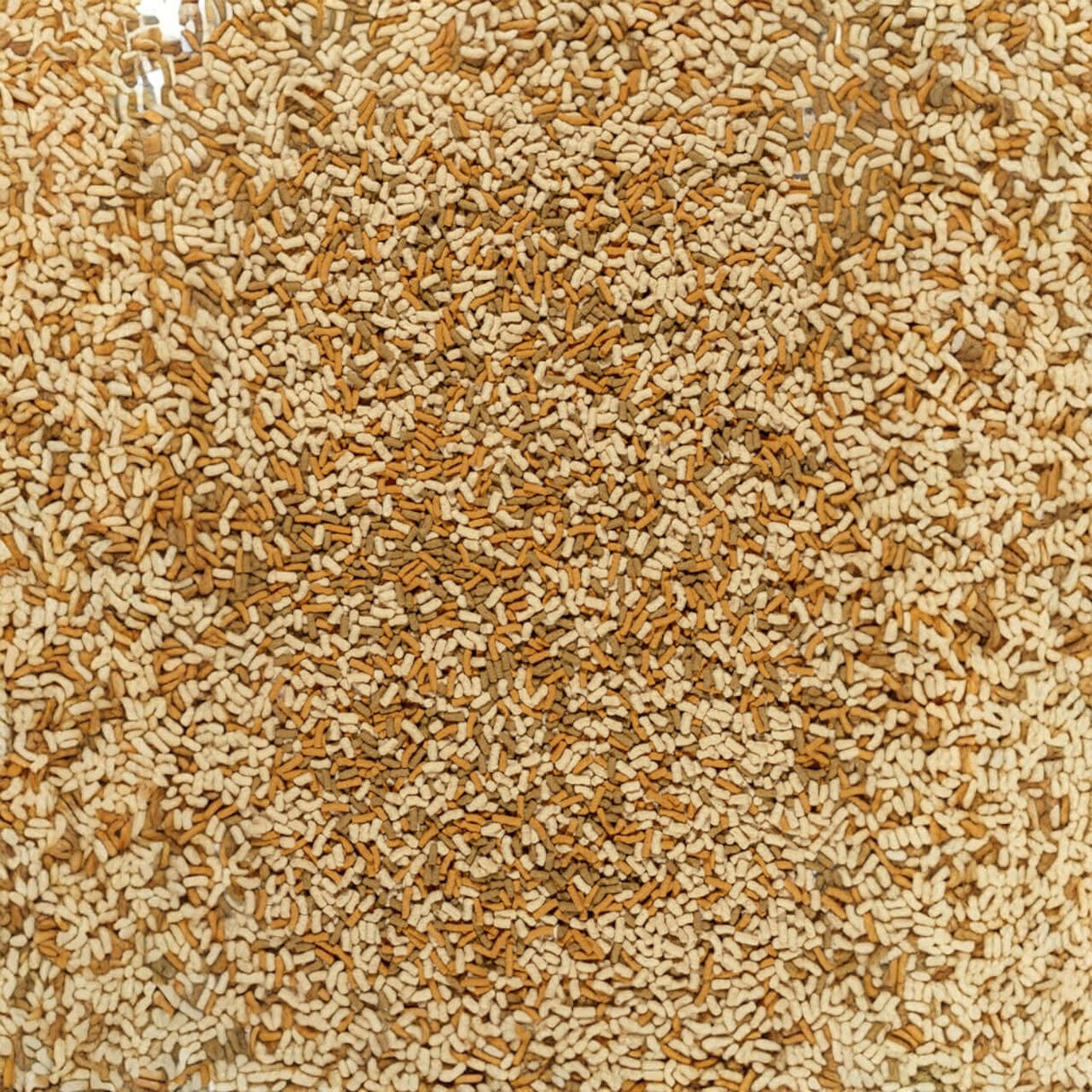 Tetra Pond Variety Sticks nutritious food for pond fish, promoting growth and strong immune system.