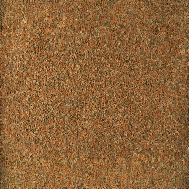 Textured background of finely crushed natural materials in warm earthy tones.