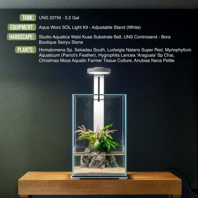 Freshwater aquarium setup featuring UNS Controsand, plants, and Aqua Worx light kit.