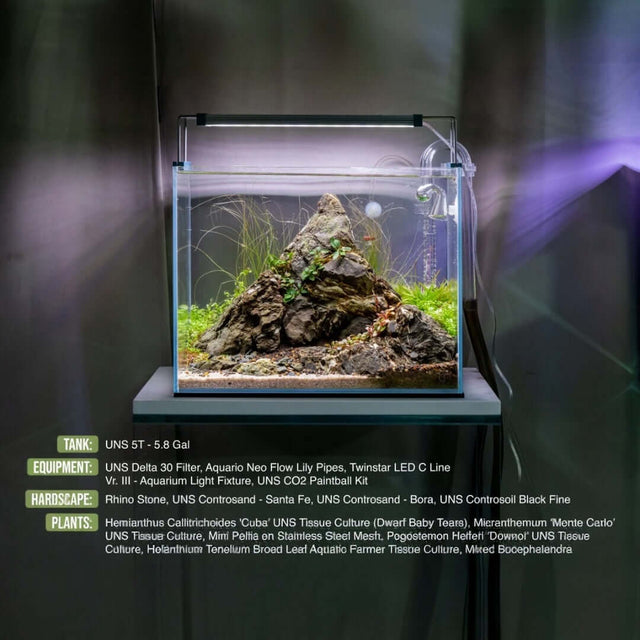 Aquarium setup featuring UNS Controsand Bora substrate, plants, and equipment, showcasing a natural aquascape.