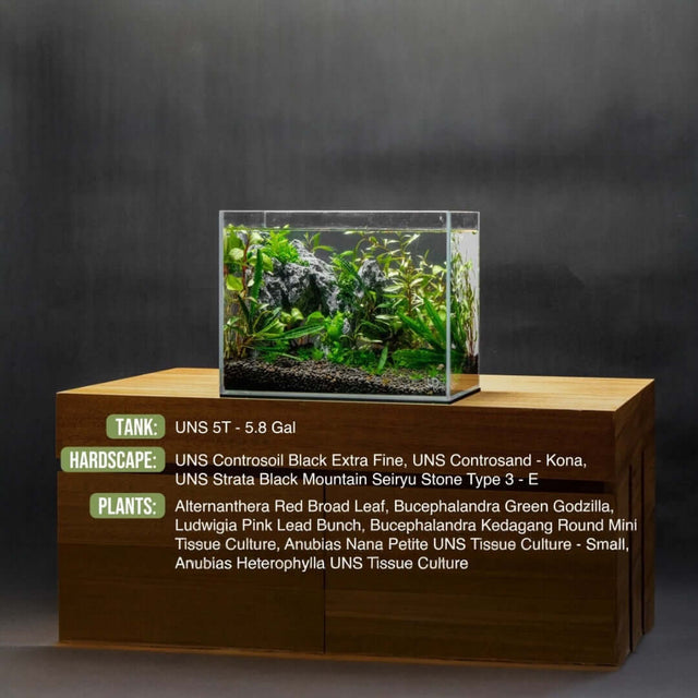 Freshwater aquarium with UNS Controsand Kona, featuring plants and stone for a vibrant aquascape.
