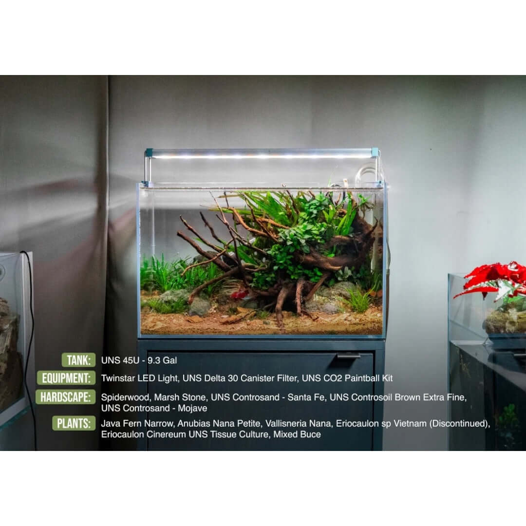 UNS 4SU aquarium setup featuring Controsand Mojave substrate, live plants, and LED lighting for aquascaping.