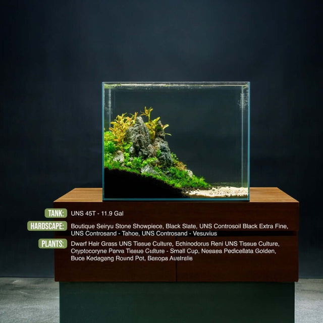 Aquascape using UNS Controsand Tahoe, highlighting a freshwater tank with diverse aquatic plants and hardscape features.