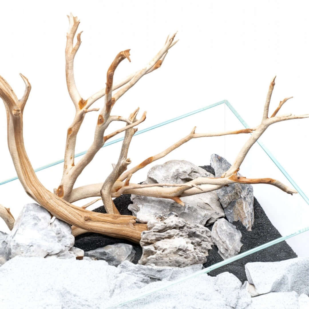 Aquascaping setup with natural driftwood and stones in a glass aquarium, perfect for freshwater ecosystems.