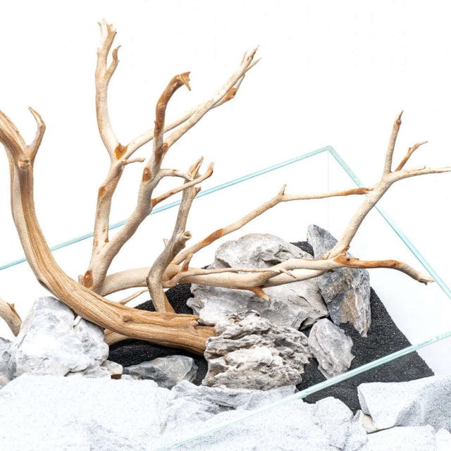 Aquascaping setup with natural driftwood and stones in a glass aquarium, perfect for freshwater ecosystems.