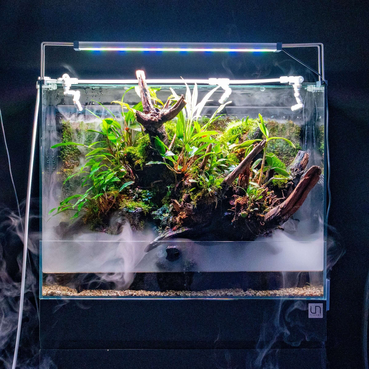 UNS Foresta Paludarium 60E featuring lush aquatic and terrestrial plants with integrated lighting.