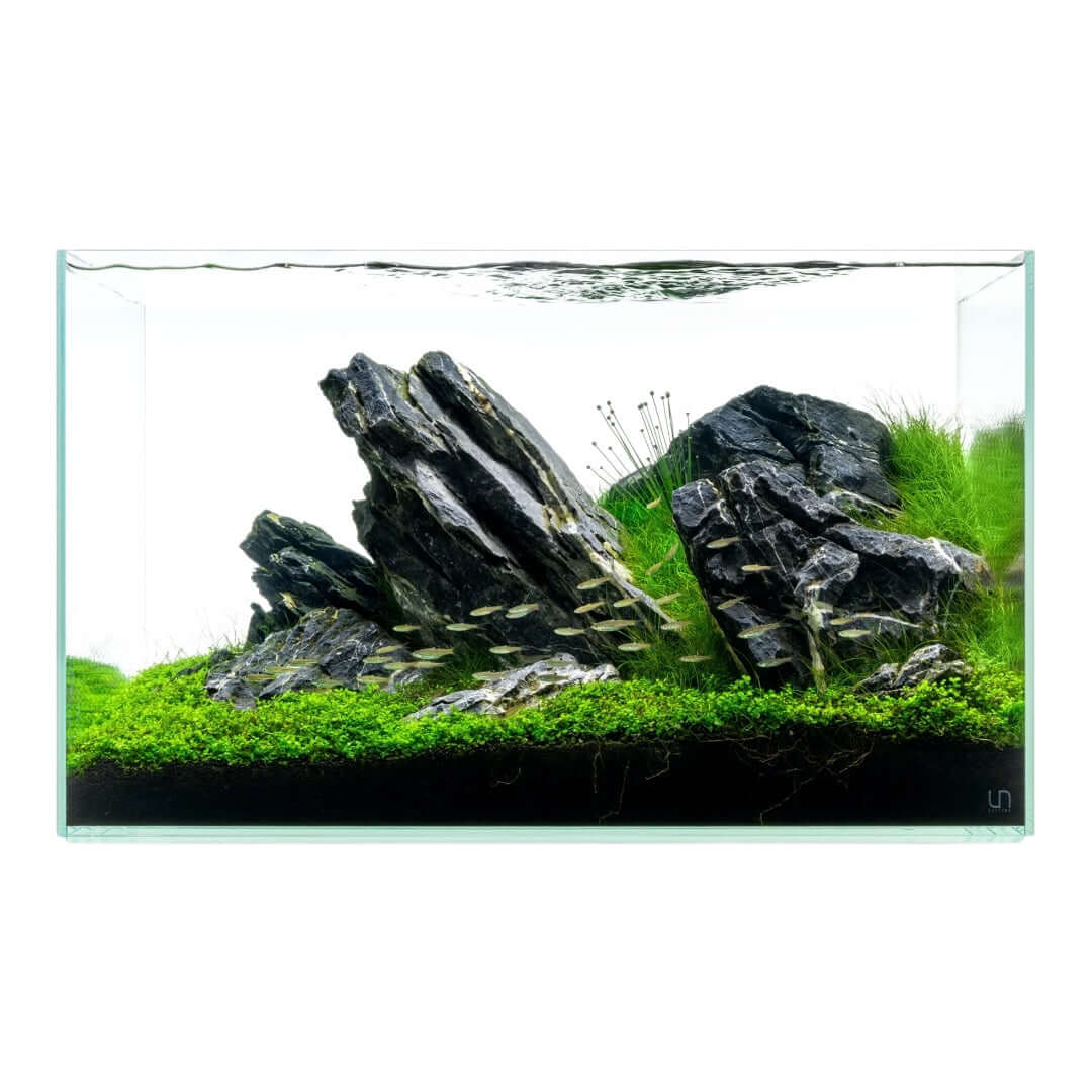 UNS Rimless Standard Aquarium Tank with natural rocks and lush greenery, showcasing aquascaping design.