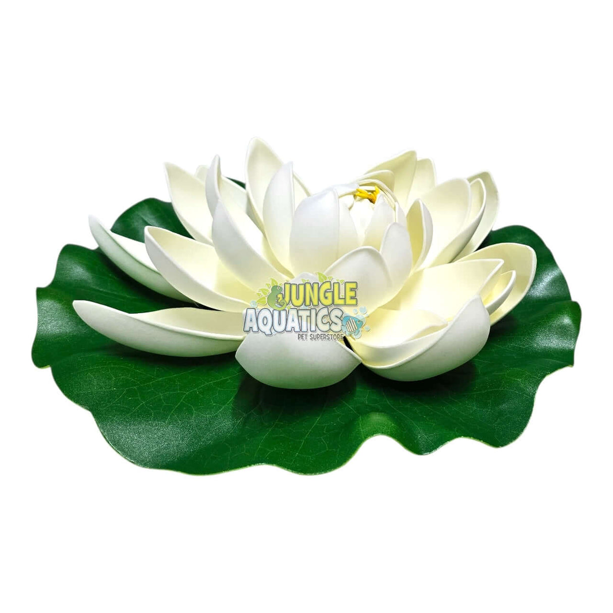 Water Lily Pond Floating Plant on green lily pad with white petals and intricate details.