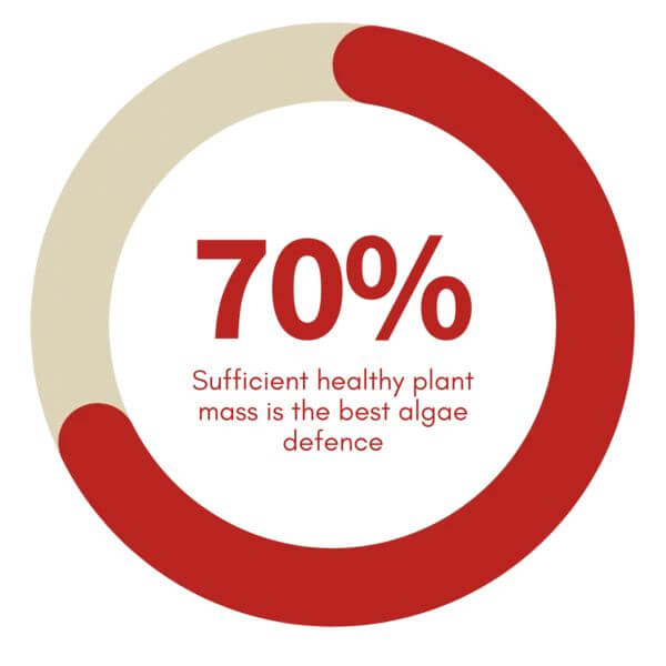 70% graphic highlighting the importance of healthy plant mass as the best defense against algae.