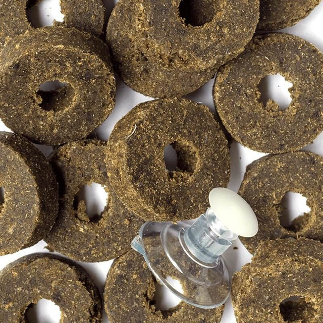 Aquaforest AF Vege Clip fish food in round discs with suction cup for optimal feeding of herbivorous and omnivorous fish.