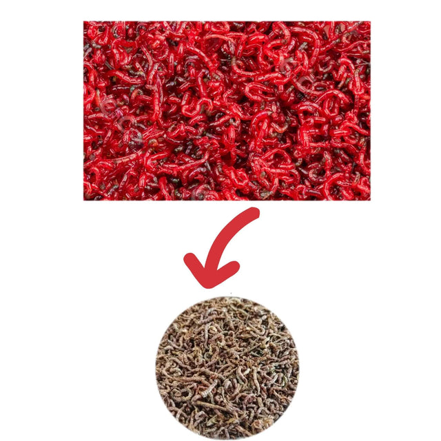 AQUAV Freeze Dried Bloodworms for fish, showcasing vibrant red worms above and brown worms in a circular inset.