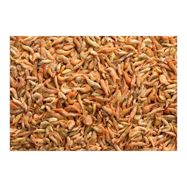 AQUAV Freeze-Dried Red Shrimp close-up, showcasing the rich texture and vibrant colors for optimal aquatic nutrition.