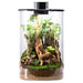 Bioloark Bio Cylinder Terrarium with Power Supply - Buy Online - Jungle Aquatics