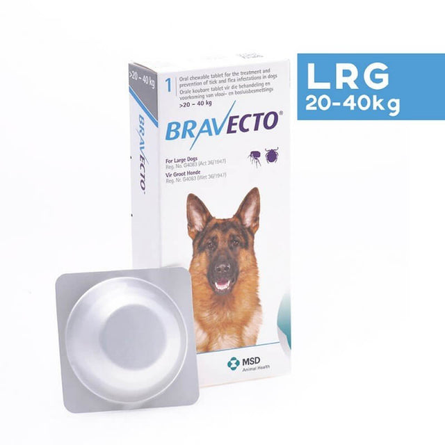 Bravecto chewable tick and flea tablet for large dogs 20-40kg with packaging and a tablet on display.