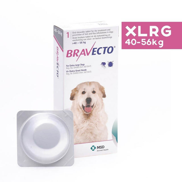 Bravecto chewable flea and tick treatment for extra-large dogs, packaging and tablet view, effective for 12 weeks.