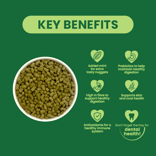 Burgess Excel Adult Rabbit Nuggets with Mint highlighting benefits like added mint, high fiber, and support for digestion and immune health.