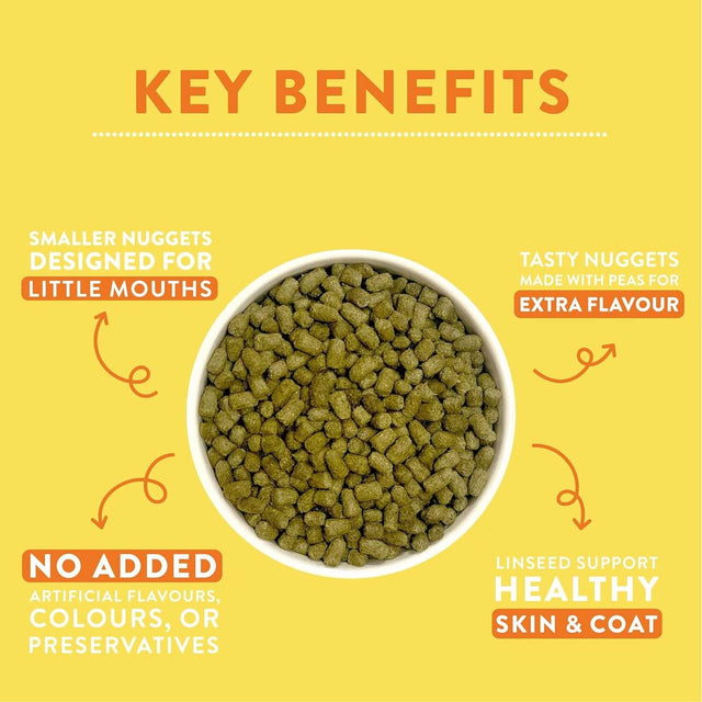 Key benefits of Burgess Excel Hamster Gerbil Mouse food, highlighting smaller nuggets, tasty flavors, and no artificial additives.