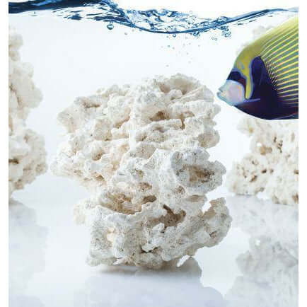 Caribsea South Seas Base Rock in aquarium with fish, showcasing its porous texture and natural design.