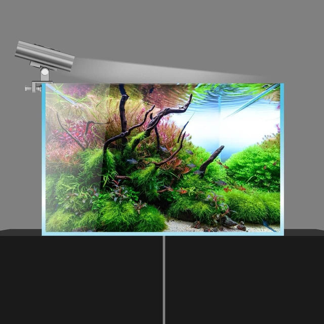 Chihiros Cooling Fan shining over a vibrant aquascaped aquarium with lush green plants and decorative roots.