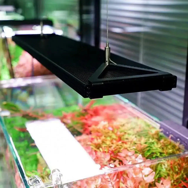 Chihiros Hanging Kit for WRGB II Slim installed above a colorful aquarium with aquatic plants.