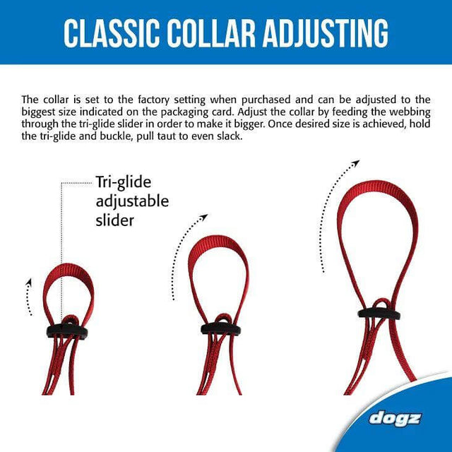 Diagram showing how to adjust a classic dog collar with a tri-glide slider for proper fit and comfort.