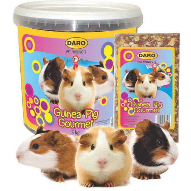 Daro Guinea Pig Gourmet Food Bucket 5kg with guinea pigs surrounding the product packaging, showcasing premium pet food.
