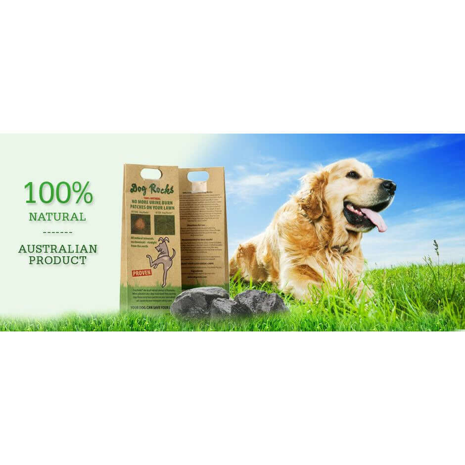 Dog Rocks 200g package with golden retriever in a green field, promoting a 100% natural Australian product for lawn care.