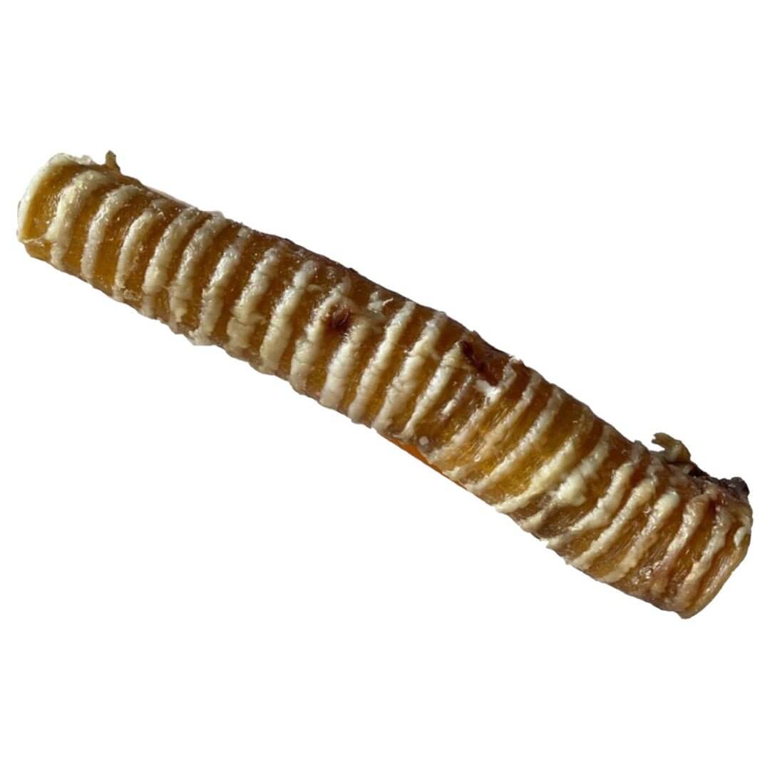 Air-dried medium trachea dog treat, single protein, 100% natural with no grains or additives. Ideal for dogs.