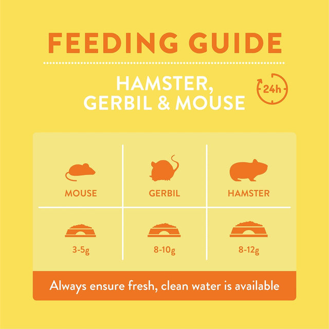 Feeding guide for hamsters, gerbils, and mice with recommended daily food portions and hydration tips.