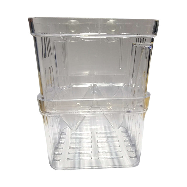 Clear Fish Isolation and Breeding Boxes for safe breeding and nurturing of aquatic pets in aquariums.