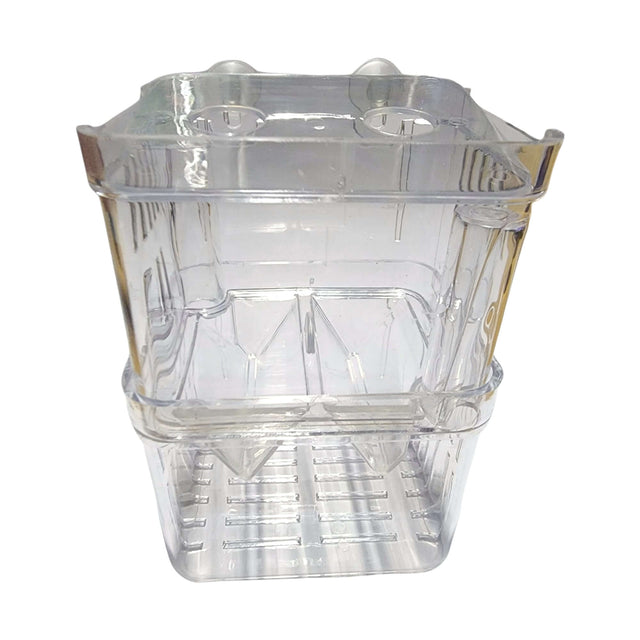 Transparent fish isolation and breeding boxes for safe aquatic pet care and breeding setup.