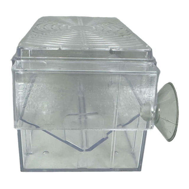 Guppy Floating Breeding Trap for safe breeding of small fish with a secure, ventilated design. Ideal for aquarists.