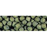 Hikari Friend Koi Food pellets showcasing nutritious floating bites for pond fish feeding and health.