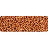 Hikari Tropical Betta Bio-Gold Food pellets for optimal betta nutrition in a rich, vibrant color.