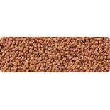 Hikari Tropical Fancy Guppy pellets, perfect daily diet for all livebearers like guppies, platies, and mollies.