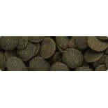 Hikari Tropical Mini Algae Wafers for algae-eating fish, featuring dark, round wafers rich in vegetable proteins.