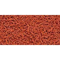 Hikari Vibra Bites bloodworm-shaped pellets, packed for vibrant colors and nutrition for fish.