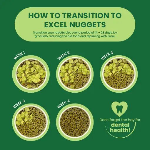 Infographic on transitioning rabbits to Burgess Excel Nuggets over 4 weeks for optimal health and nutrition.
