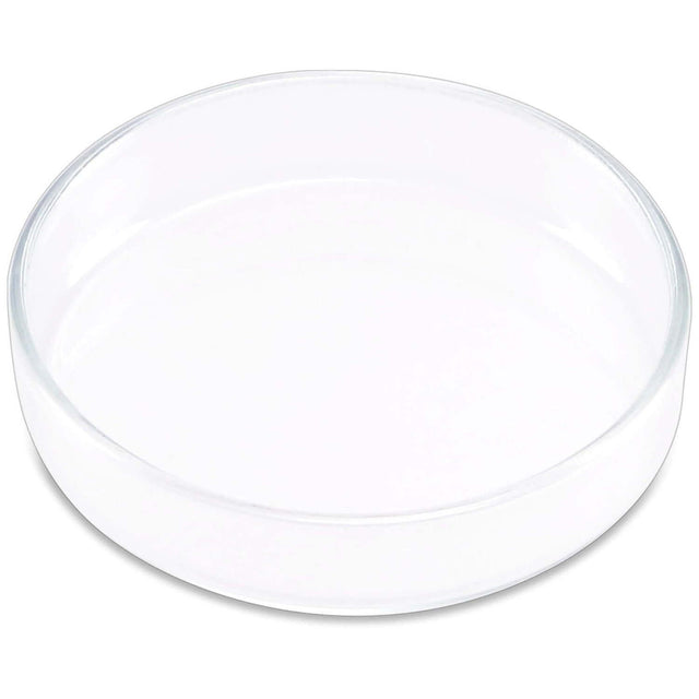 Ista Shrimp Feeding Dish, elegant clear glass tray for targeted feeding of bottom-dwelling aquatic animals. Easy to clean.