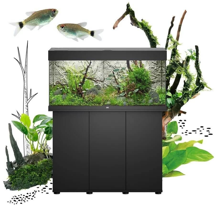 Juwel Rio aquarium with cabinet, featuring lush plants and fish, showcasing elegant aquatic design and craftsmanship.