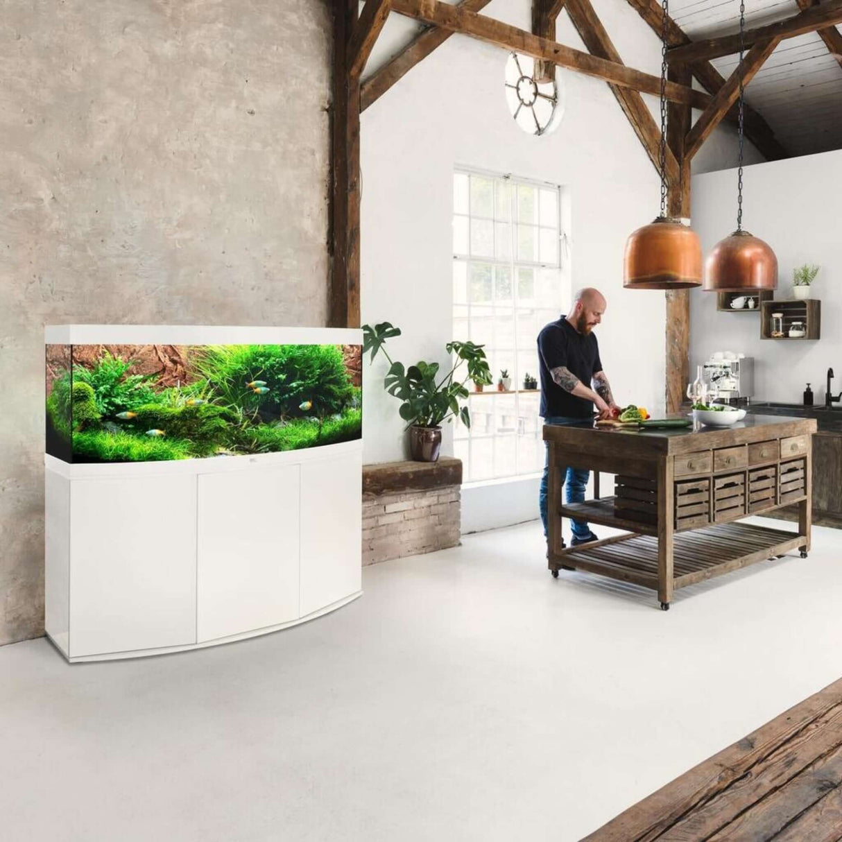 Juwel Vision Aquarium with cabinet in a modern kitchen setting, showcasing lush aquatic plants and elegant design.