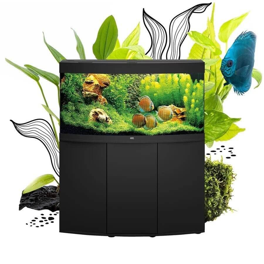 Juwel Vision Aquarium with curved front panel, showcasing aquatic plants and vibrant fish against a sleek black cabinet.