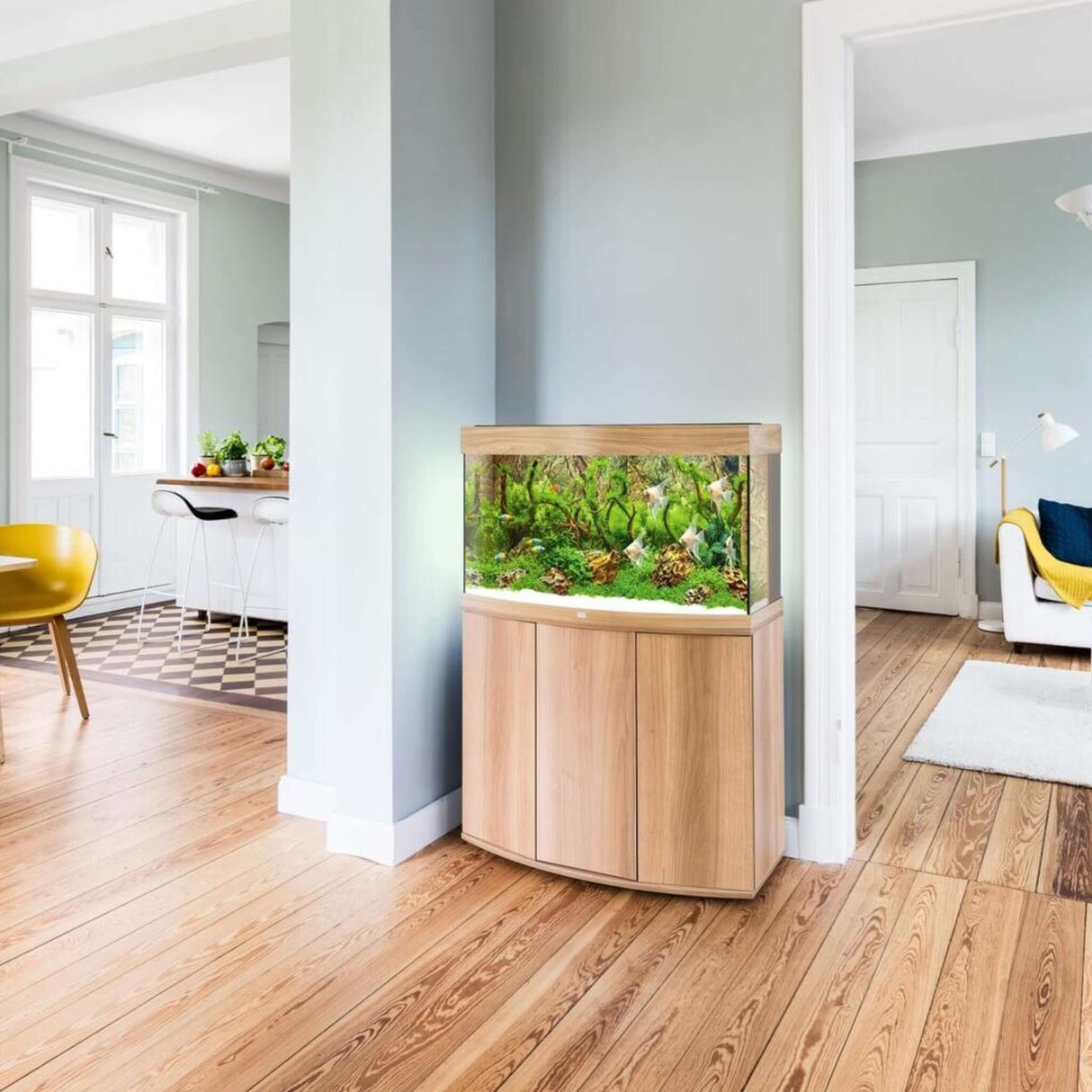 Juwel Vision Aquarium with cabinet in a stylish living room setting showcasing vibrant aquatic life.