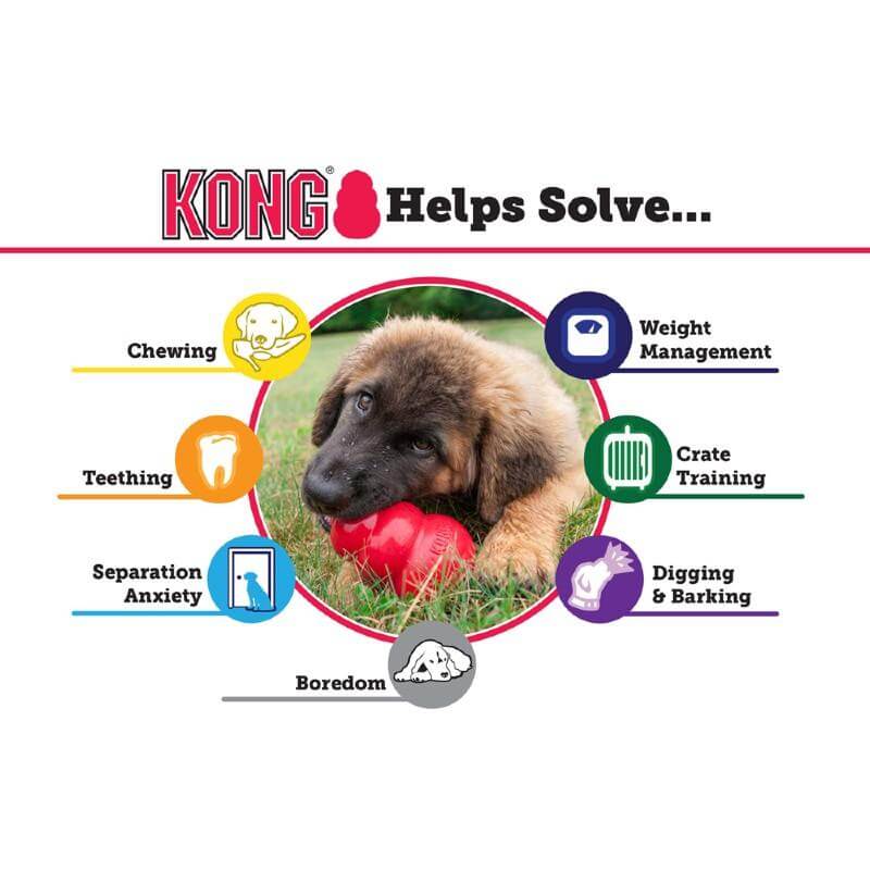 KONG Extreme dog toy benefits infographic highlighting solutions for chewing, teething, boredom, and more.