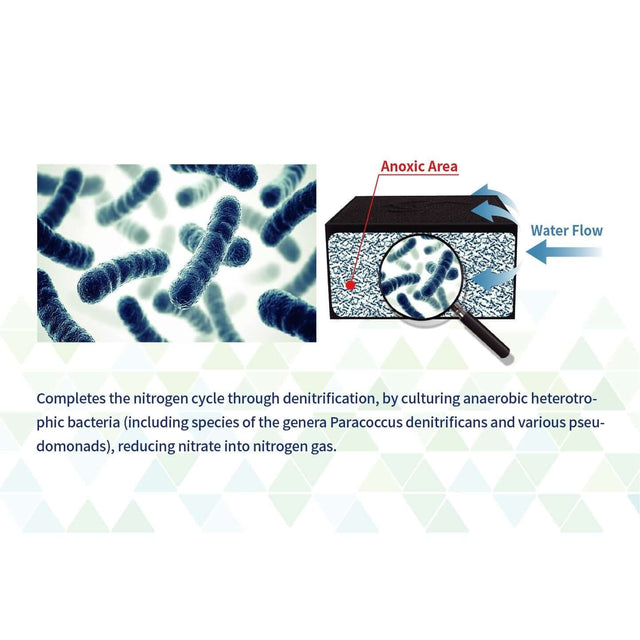 Diagram showing anaerobic bacteria promoting nitrogen cycle and nitrate reduction in aquariums with Maxspect Nano-Tech Block.