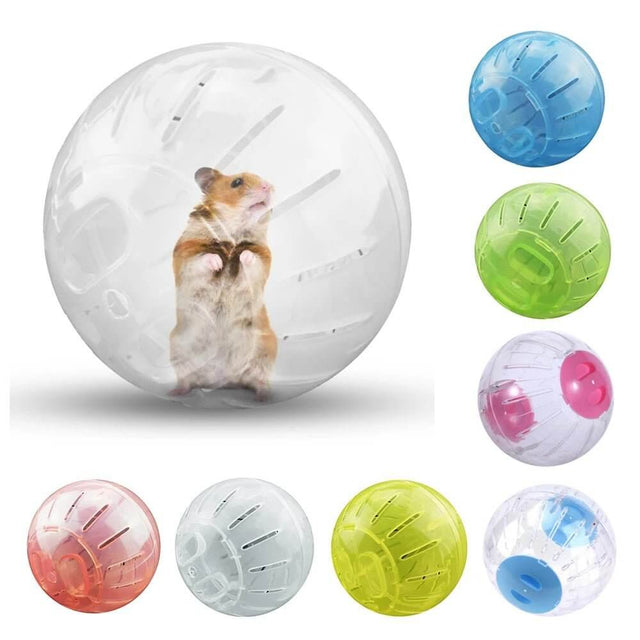 Mini hamster in a clear exercise ball surrounded by colorful options, promoting fun and fitness for small pets.