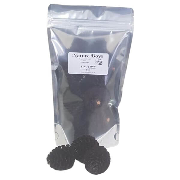 Nature Boys King Cones 6pc pack, ideal for enhancing shrimp aquarium environments and promoting aquatic health.