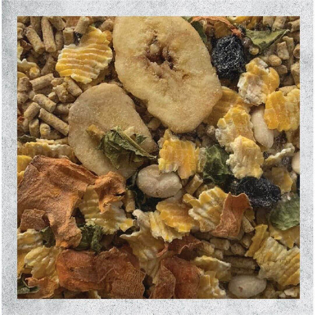 Close-up of Nature’s Nest Avian Deluxe 1kg bird food mix with fruits, veggies, and pellets for optimal nutrition.