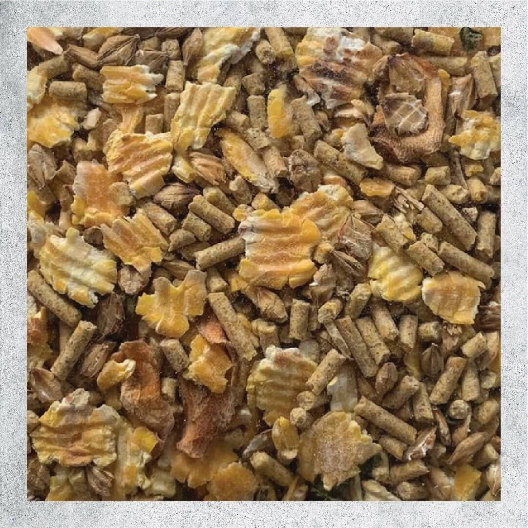 Close-up of Nature’s Nest Avian Wholegrain mix, featuring grains and flakes ideal for baby birds and parrots.
